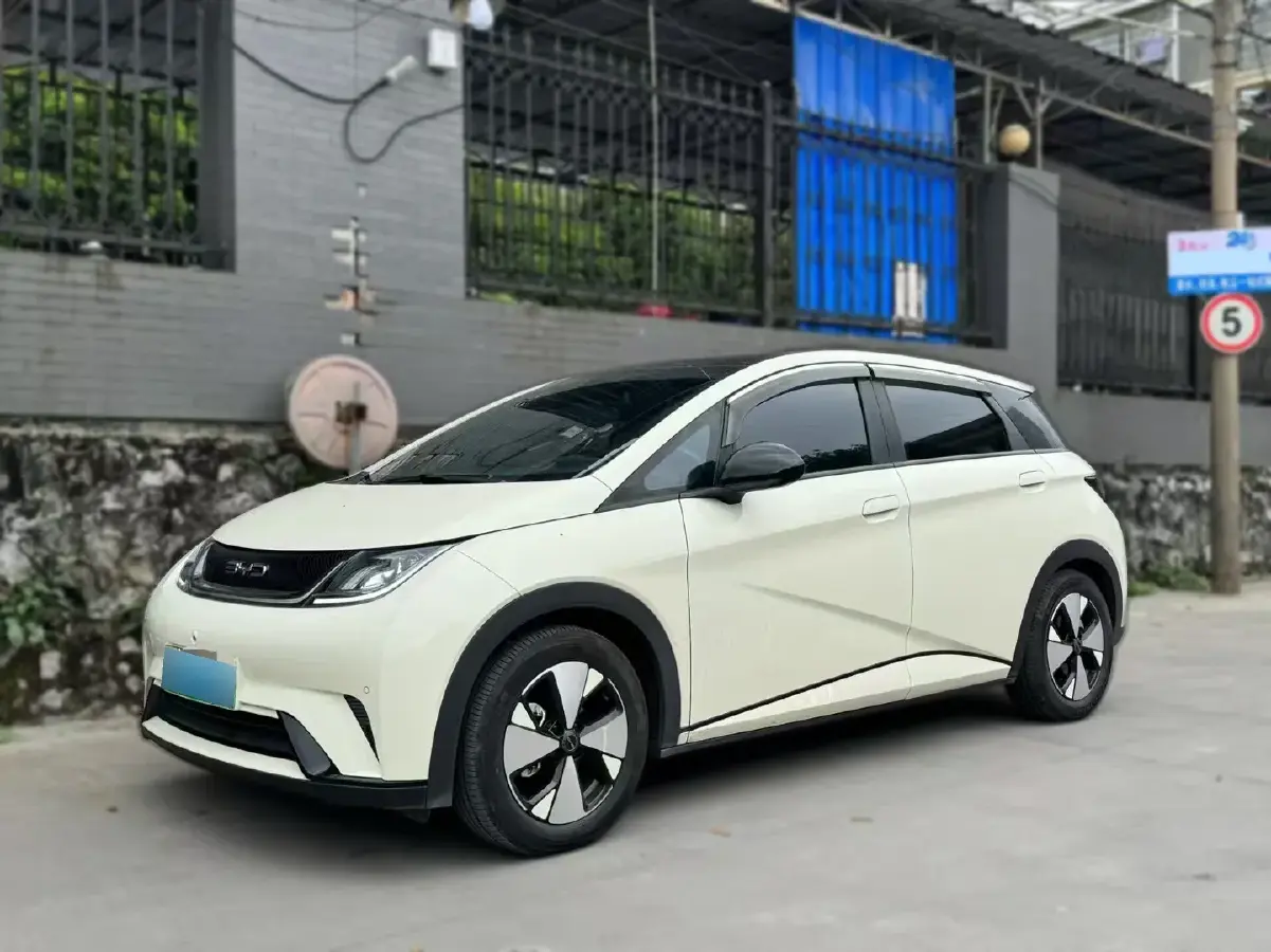 2021 BYD Dolphin BEV 44.9KWH