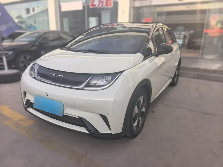 2024 BYD Dolphin BEV 44.928KWH