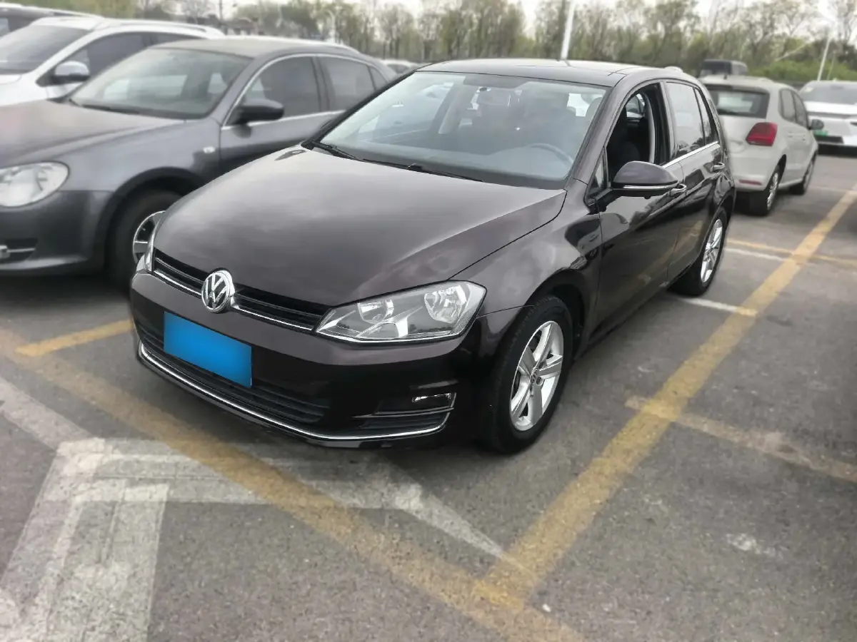 2010 Volkswagen Golf 1.6L 105HP L4 5MT