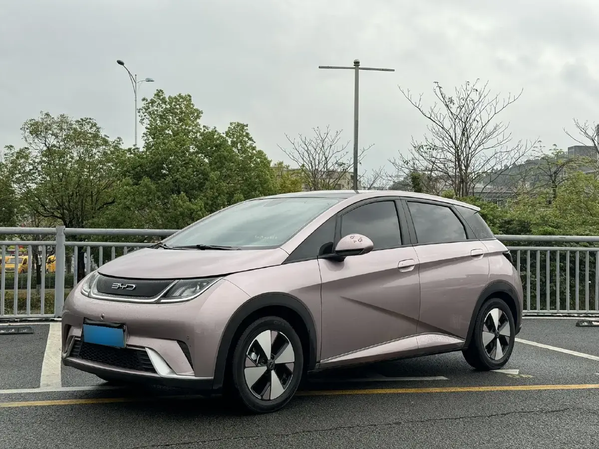 2023 BYD Dolphin BEV 44.928KWH