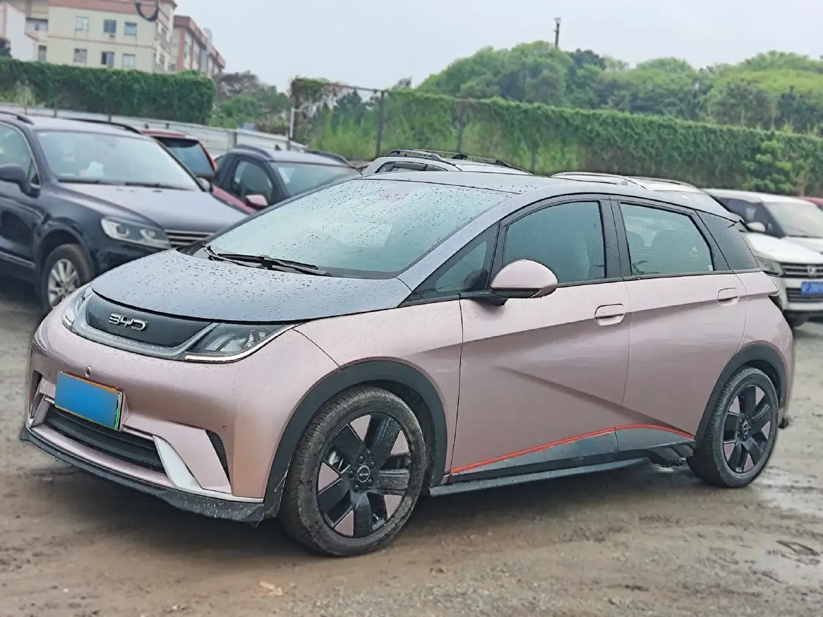 2024 BYD Dolphin BEV 44.928KWH