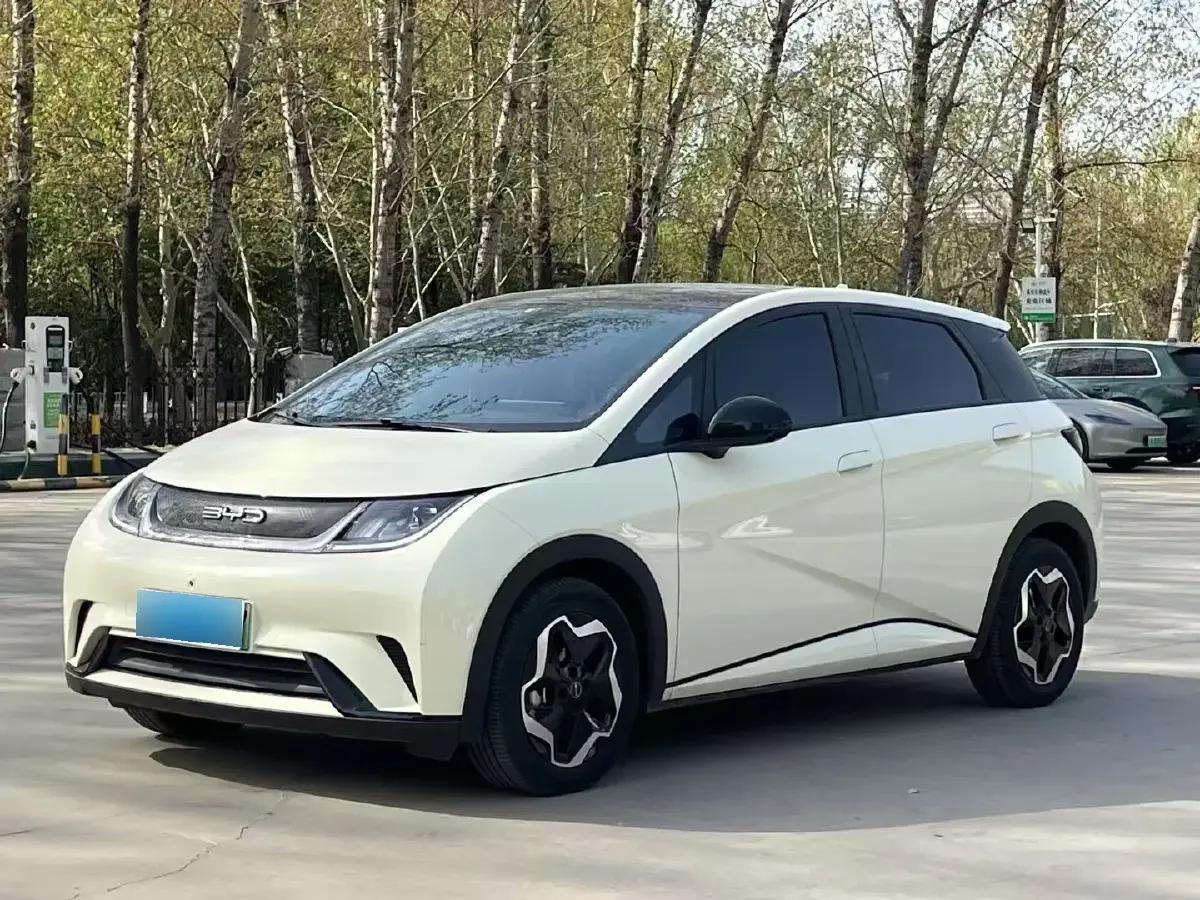 2021 BYD Dolphin BEV 44.9KWH