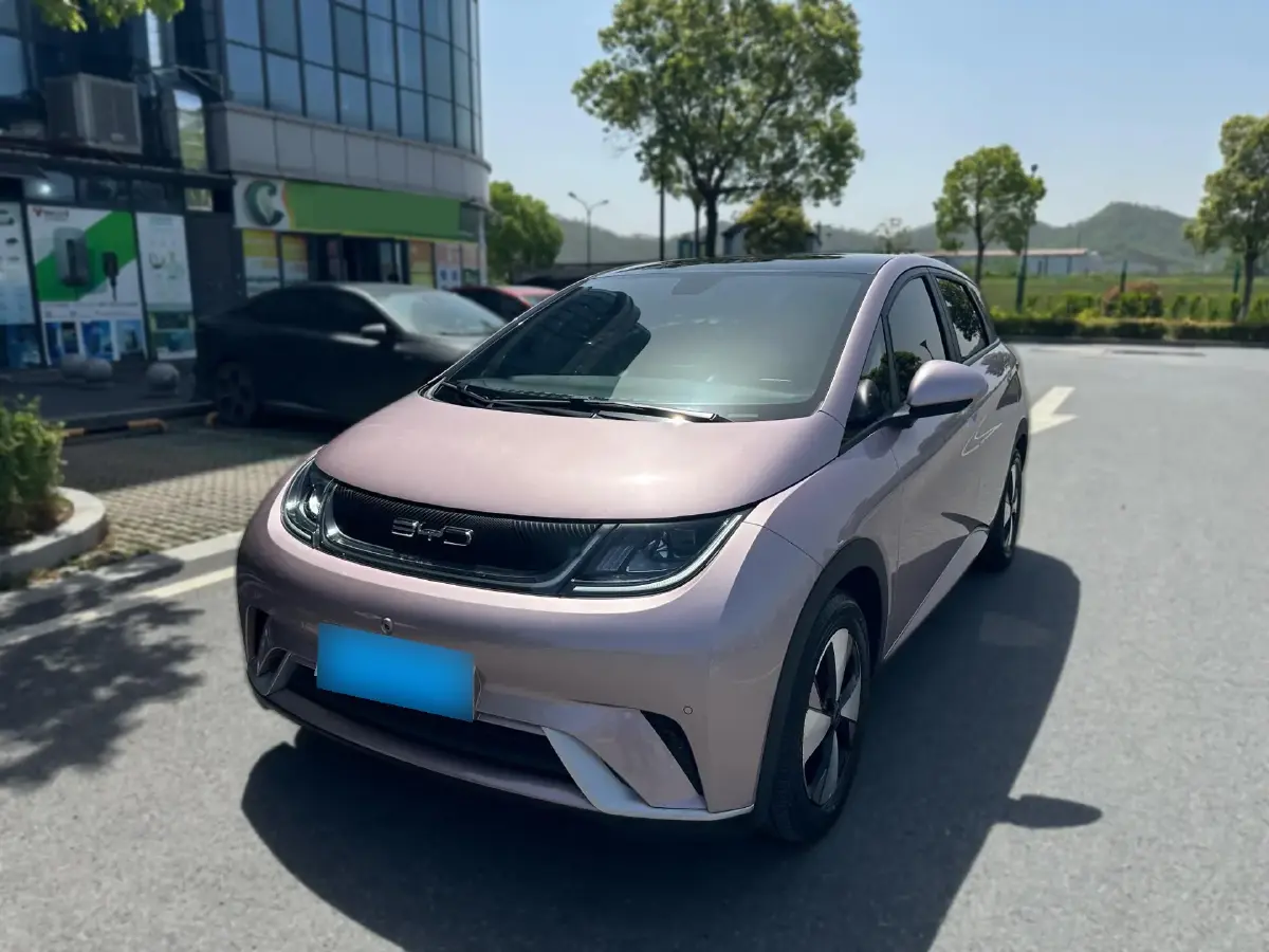 2023 BYD Dolphin BEV 44.928KWH