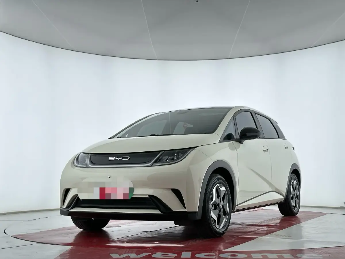 2021 BYD Dolphin BEV 44.9KWH