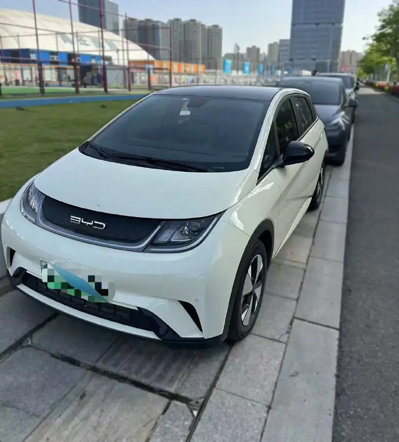 2023 BYD Dolphin BEV 44.928KWH