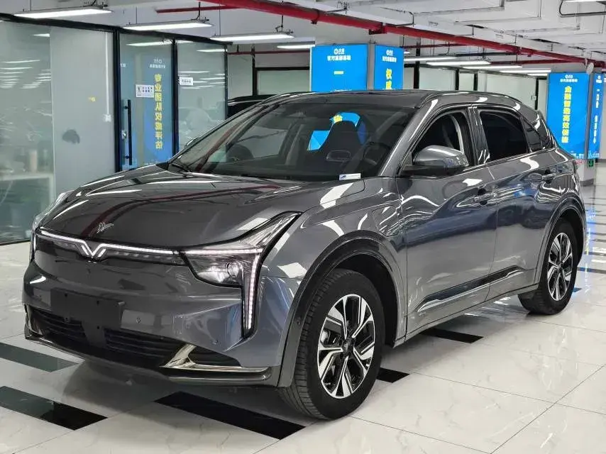2022 Neta U BEV 55.8KWH