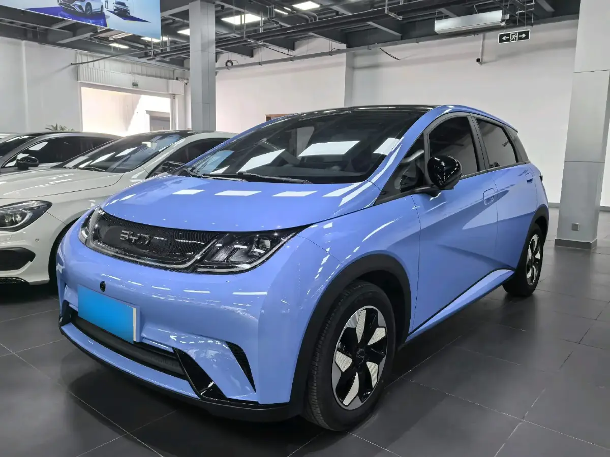 2024 BYD Dolphin BEV 44.928KWH