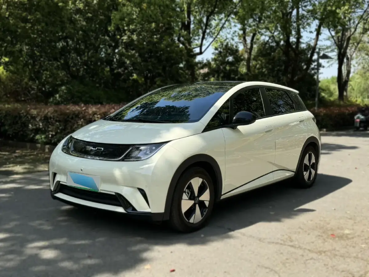 2023 BYD Dolphin BEV 44.928KWH