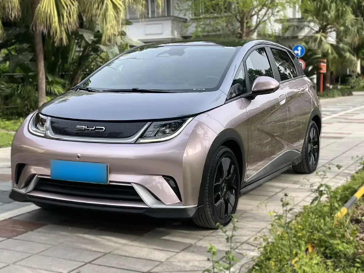 2021 BYD Dolphin BEV 44.9KWH