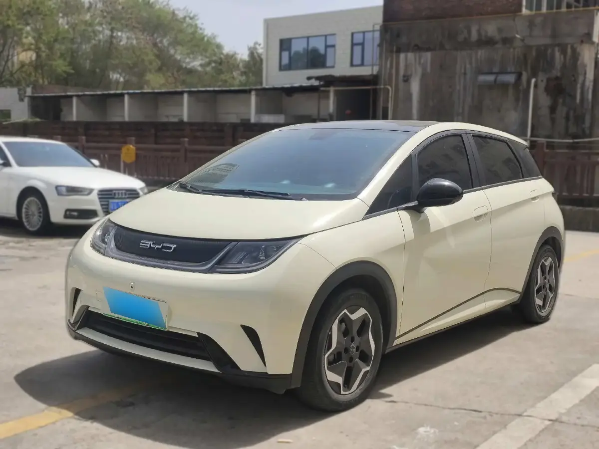 2021 BYD Dolphin BEV 44.9KWH