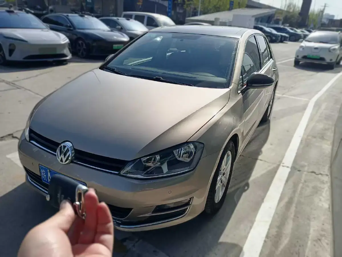 2017 Volkswagen Golf 1.6L 110HP L4 6AT