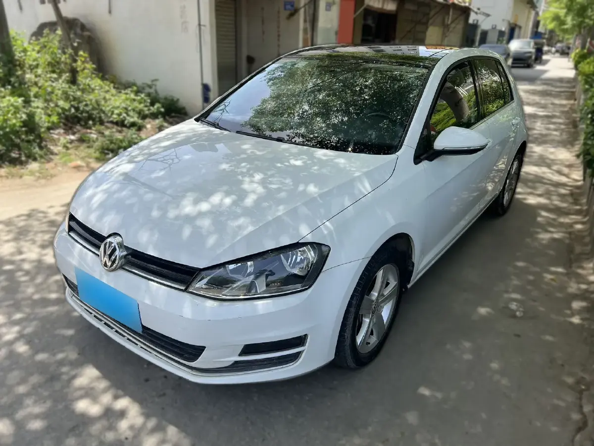 2010 Volkswagen Golf 1.6L 105HP L4 5MT