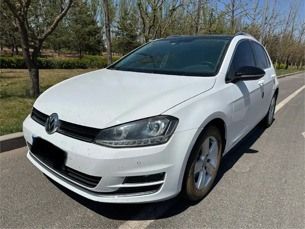2017 Volkswagen Golf 1.6L 110HP L4 6AT