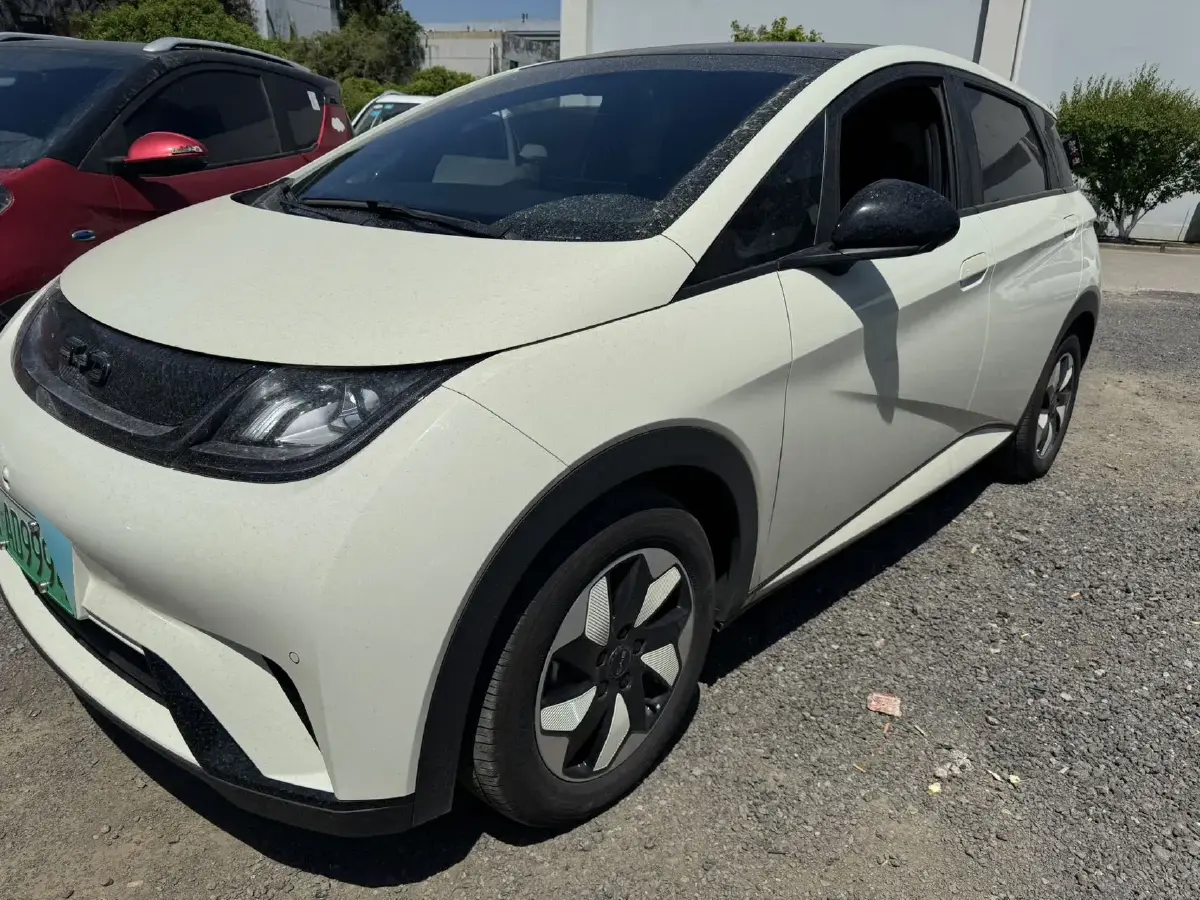 2024 BYD Dolphin BEV 44.928KWH