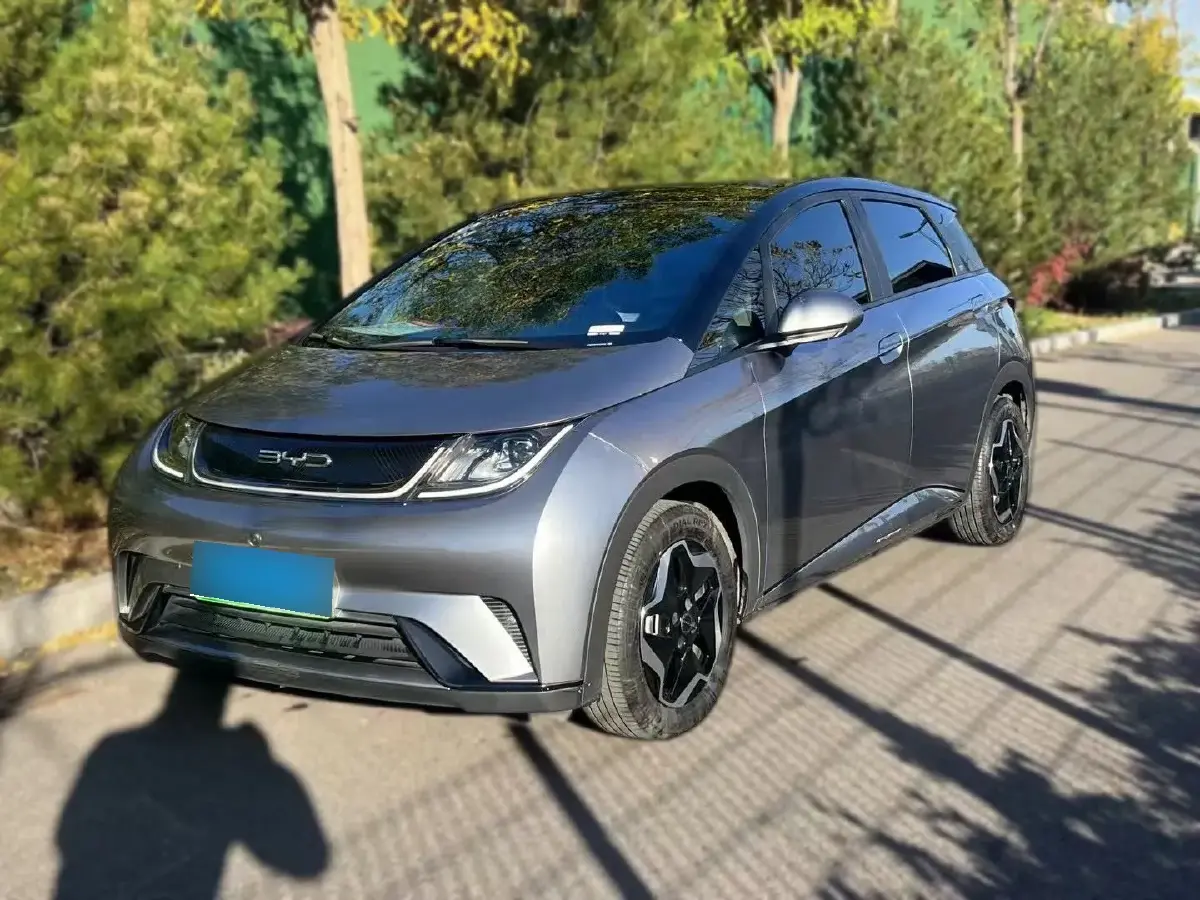 2021 BYD Dolphin BEV 44.9KWH