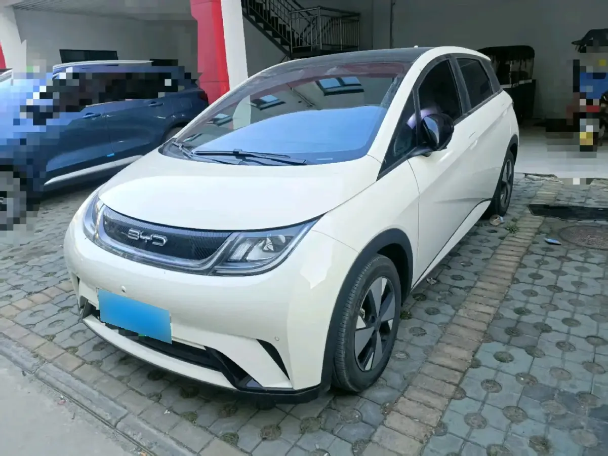 2023 BYD Dolphin BEV 44.928KWH
