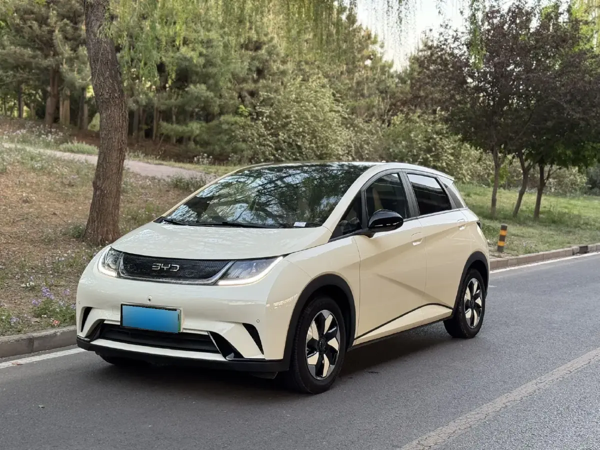 2024 BYD Dolphin BEV 44.928KWH