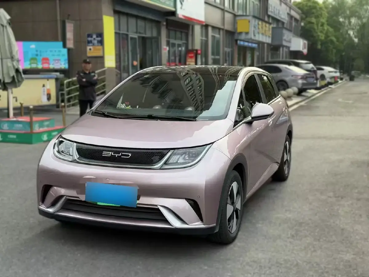 2023 BYD Dolphin BEV 44.928KWH
