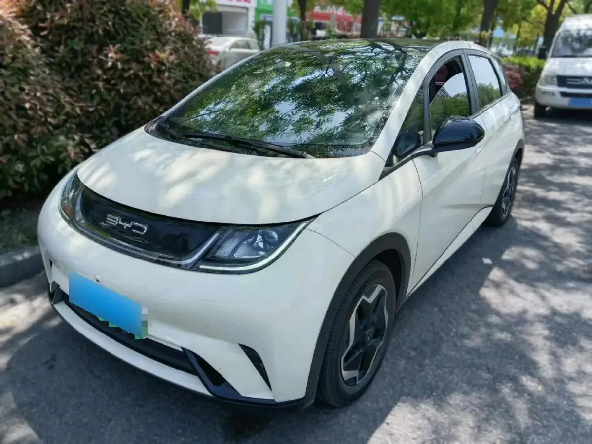 2021 BYD Dolphin BEV 44.9KWH