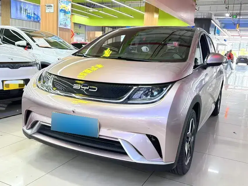 2021 BYD Dolphin BEV 44.9KWH