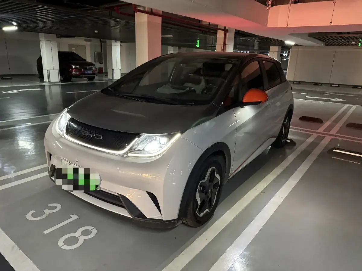 2021 BYD Dolphin BEV 44.9KWH