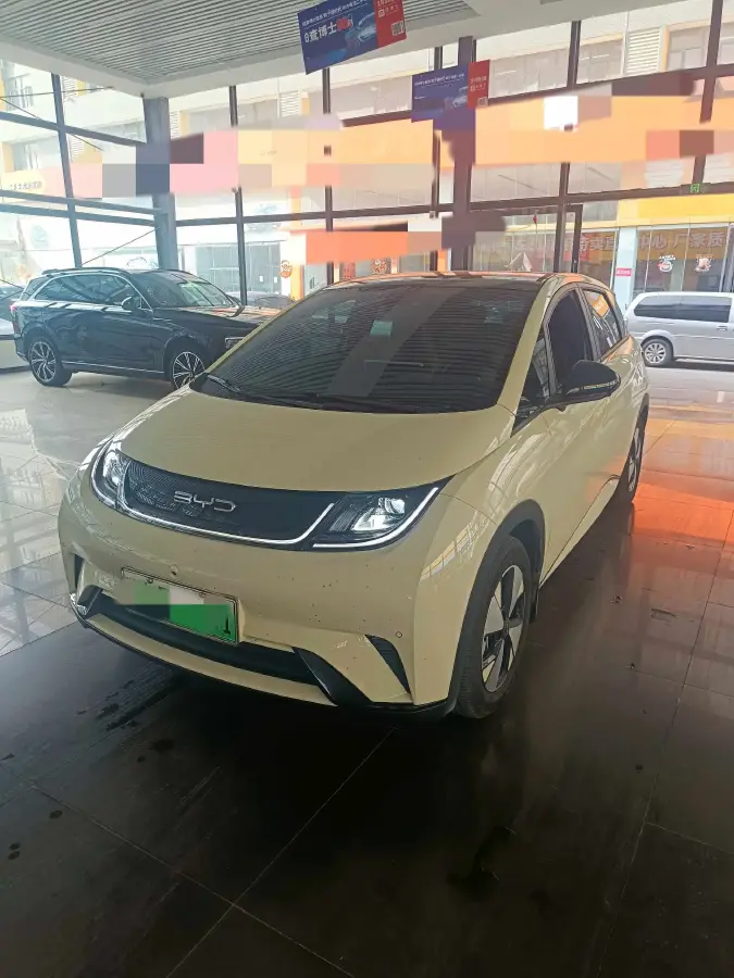 2023 BYD Dolphin BEV 44.928KWH