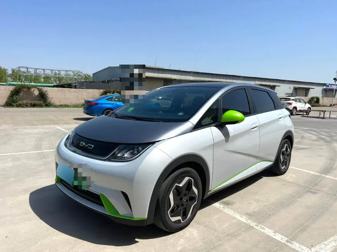 2021 BYD Dolphin BEV 44.9KWH