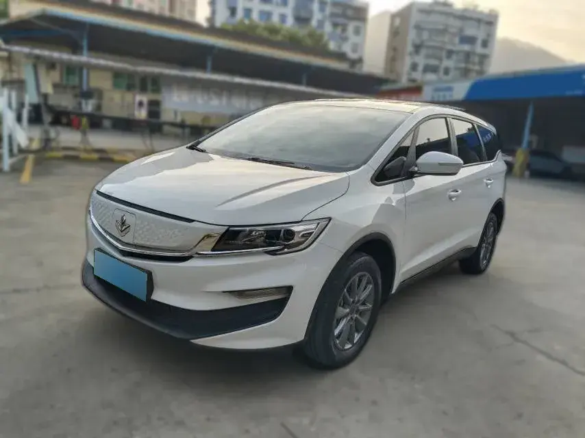 2021 Livan Maple 80v BEV 53KWH