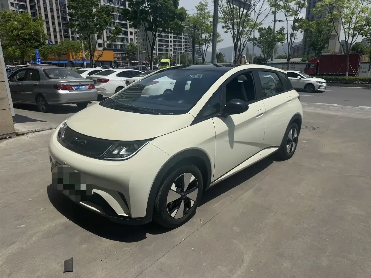 2024 BYD Dolphin BEV 44.928KWH