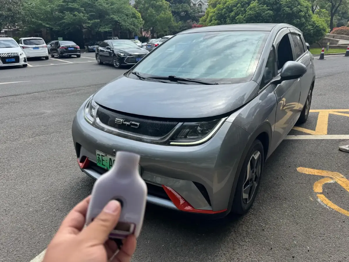 2021 BYD Dolphin BEV 44.9KWH