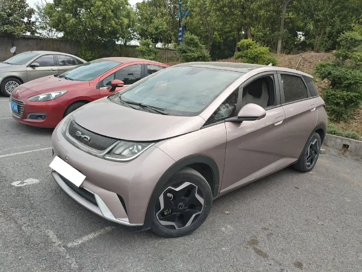 2021 BYD Dolphin BEV 44.9KWH