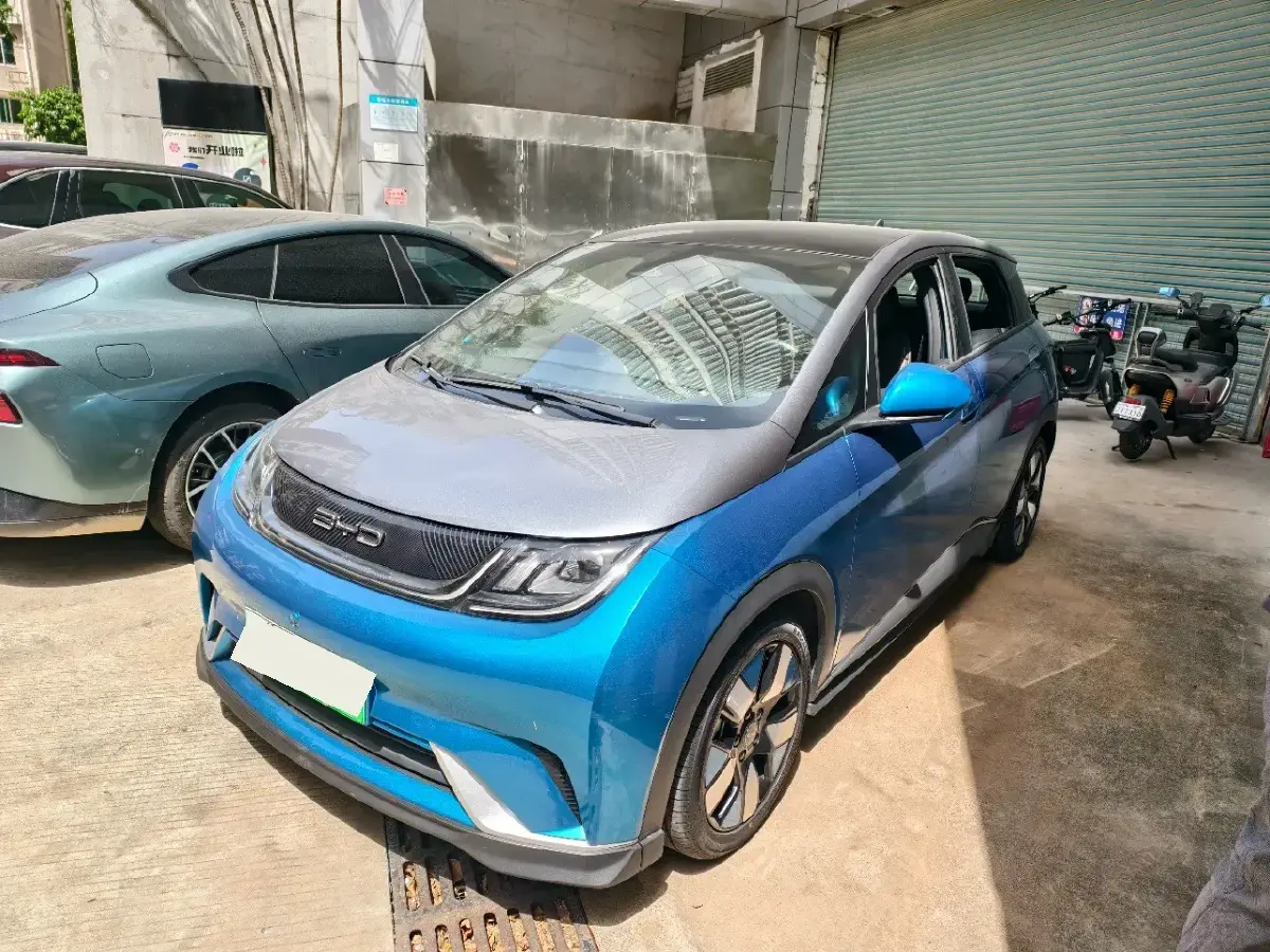2021 BYD Dolphin BEV 44.9KWH