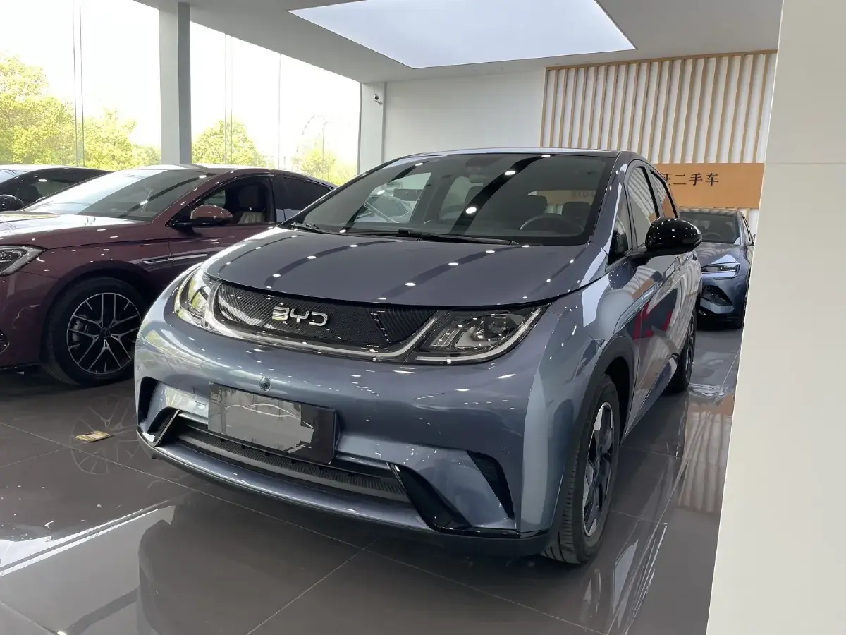 2024 BYD Dolphin BEV 44.928KWH