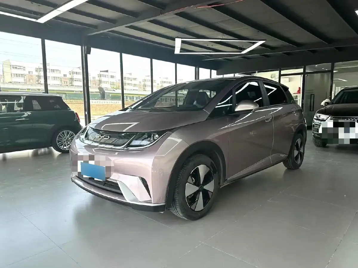 2021 BYD Dolphin BEV 44.9KWH