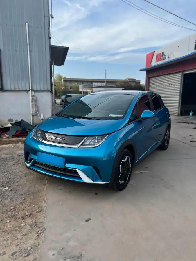 2021 BYD Dolphin BEV 44.9KWH