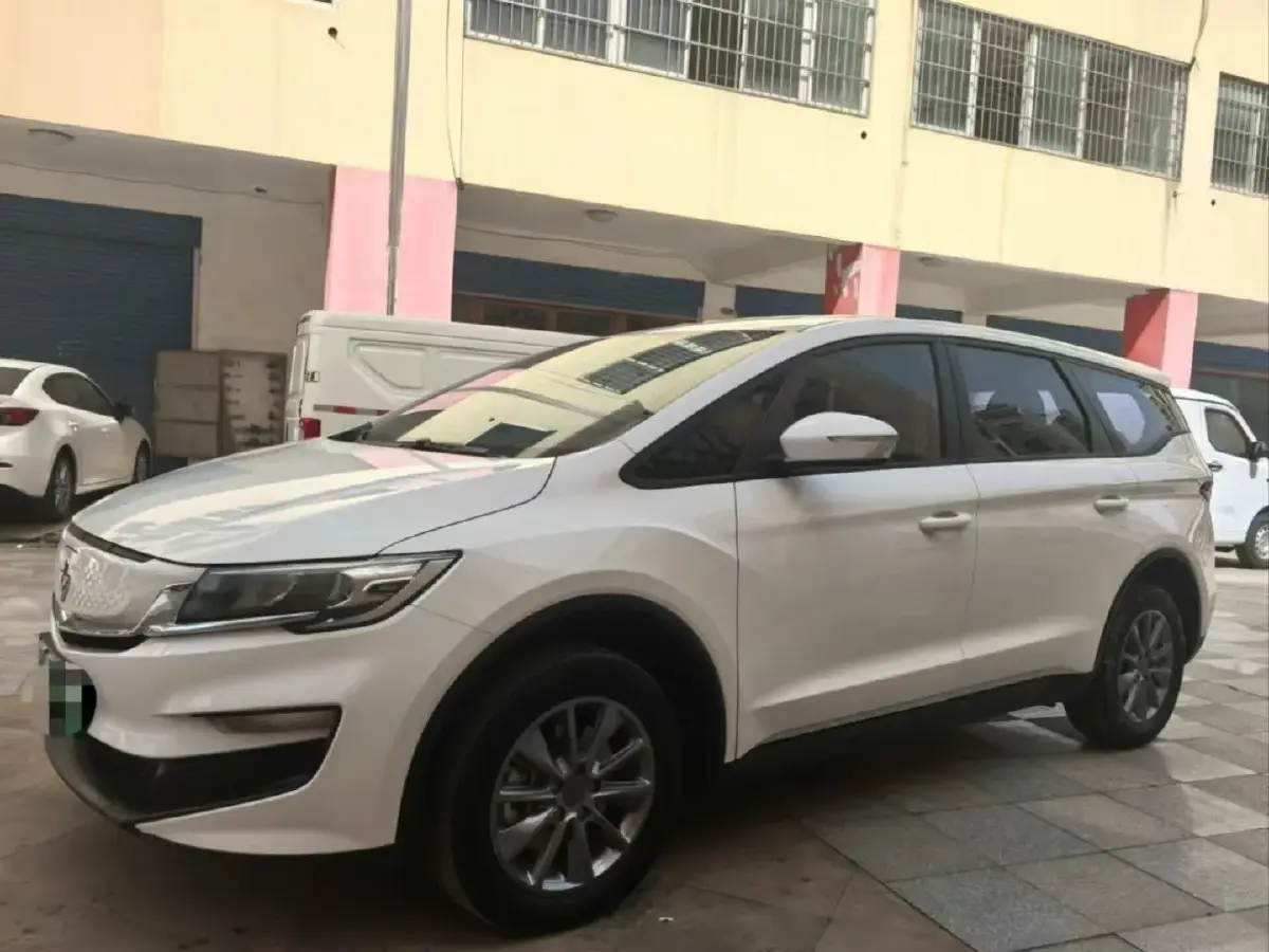 2021 Livan Maple 80v BEV