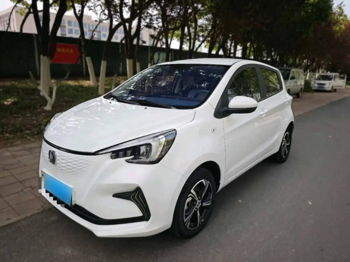 2023 ChangAn BenBen E-Star BEV 30.95KWH