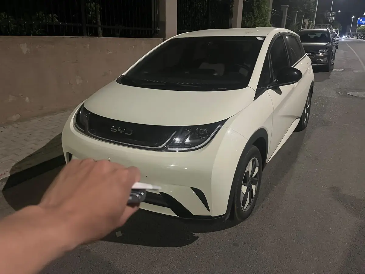 2025 BYD Dolphin BEV 44.928KWH