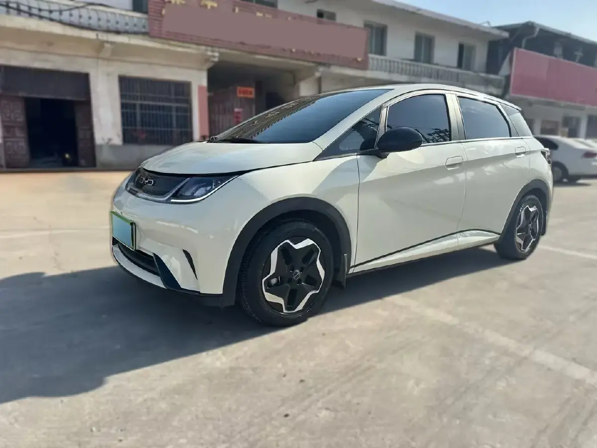 2021 BYD Dolphin BEV 44.9KWH
