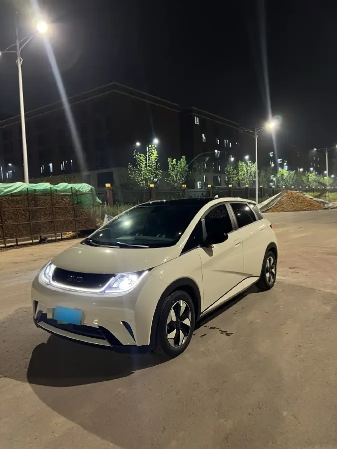 2024 BYD Dolphin BEV 44.928KWH