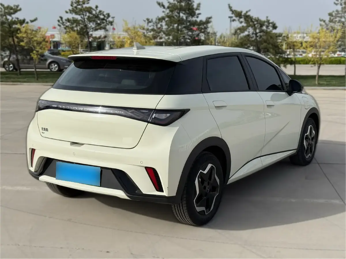 2024 BYD Dolphin BEV 44.928KWH