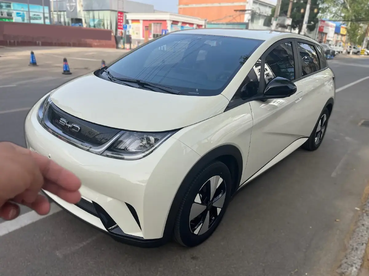 2023 BYD Dolphin BEV 44.928KWH