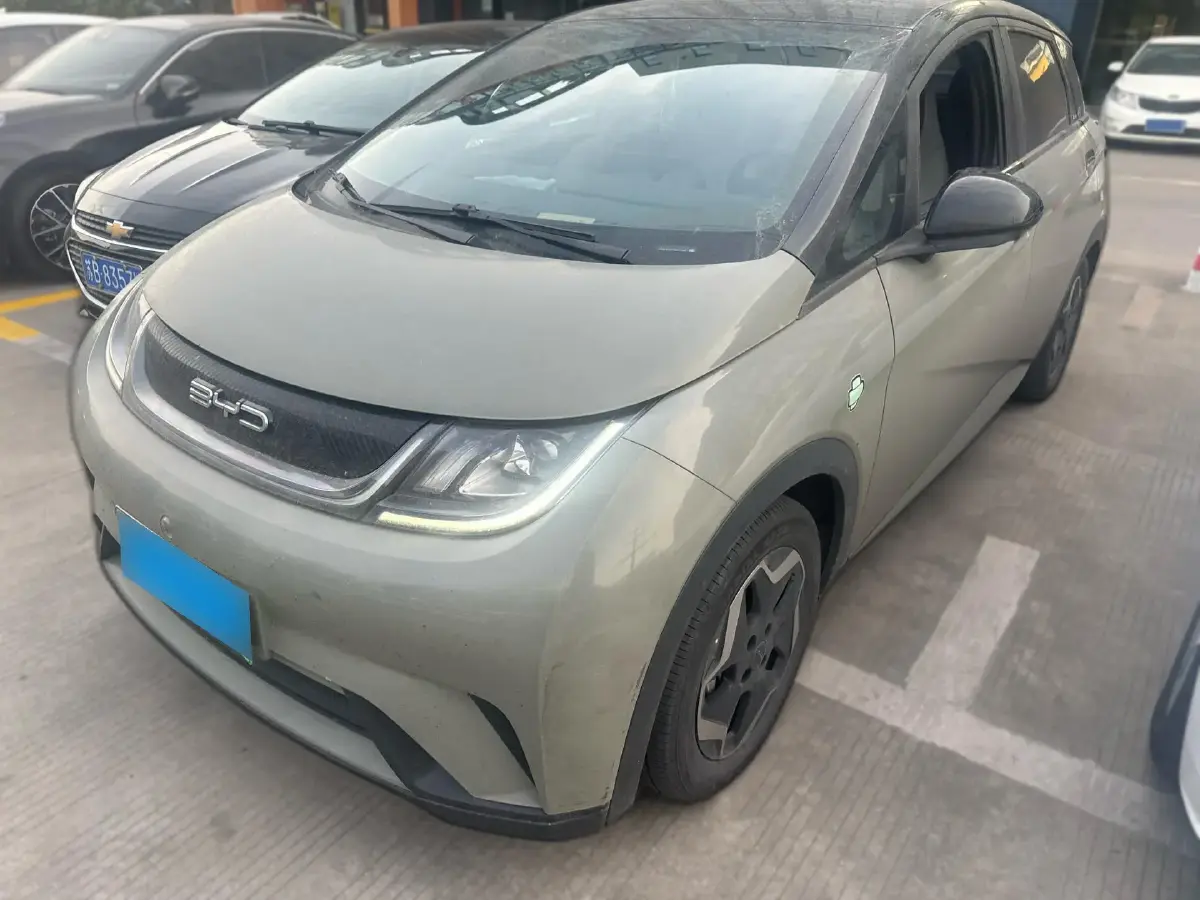 2021 BYD Dolphin BEV 44.9KWH