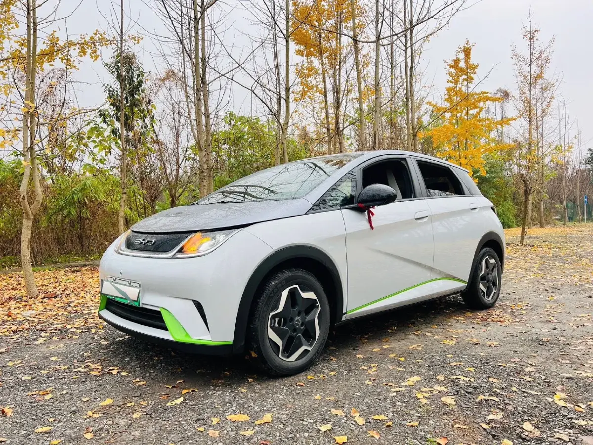 2021 BYD Dolphin BEV 44.9KWH