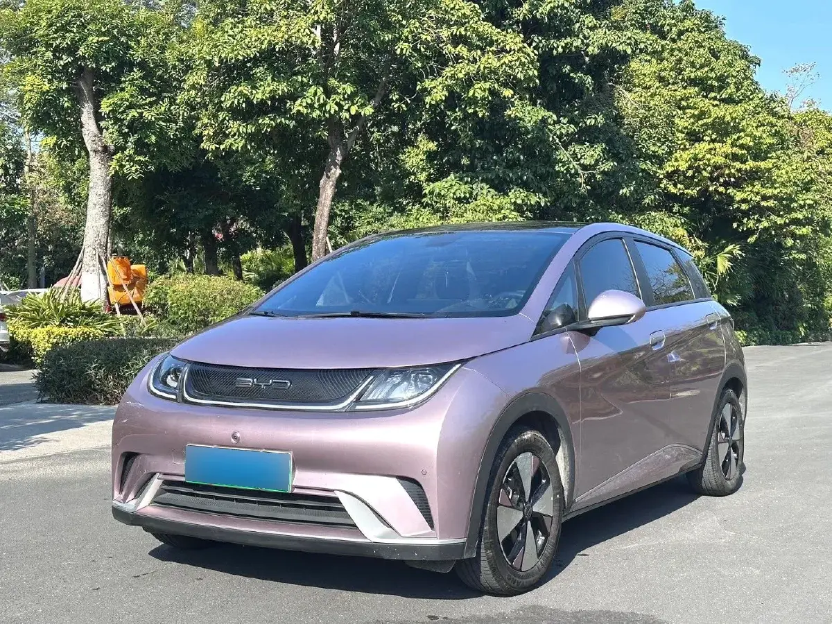 2021 BYD Dolphin BEV 44.9KWH