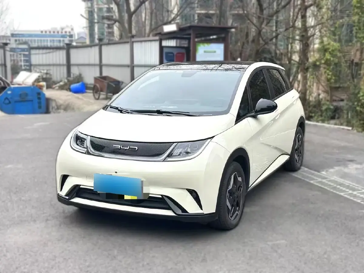 2021 BYD Dolphin BEV 44.9KWH