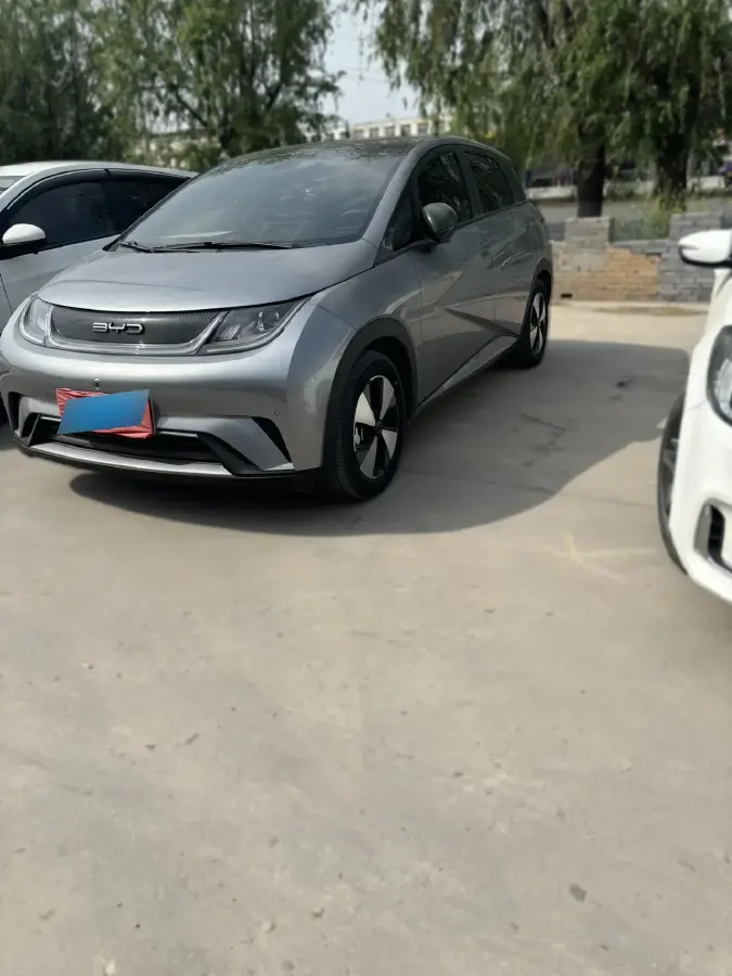 2023 BYD Dolphin BEV 44.928KWH