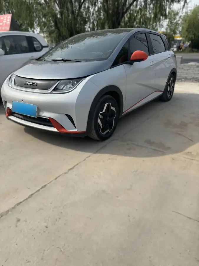 2021 BYD Dolphin BEV 44.9KWH
