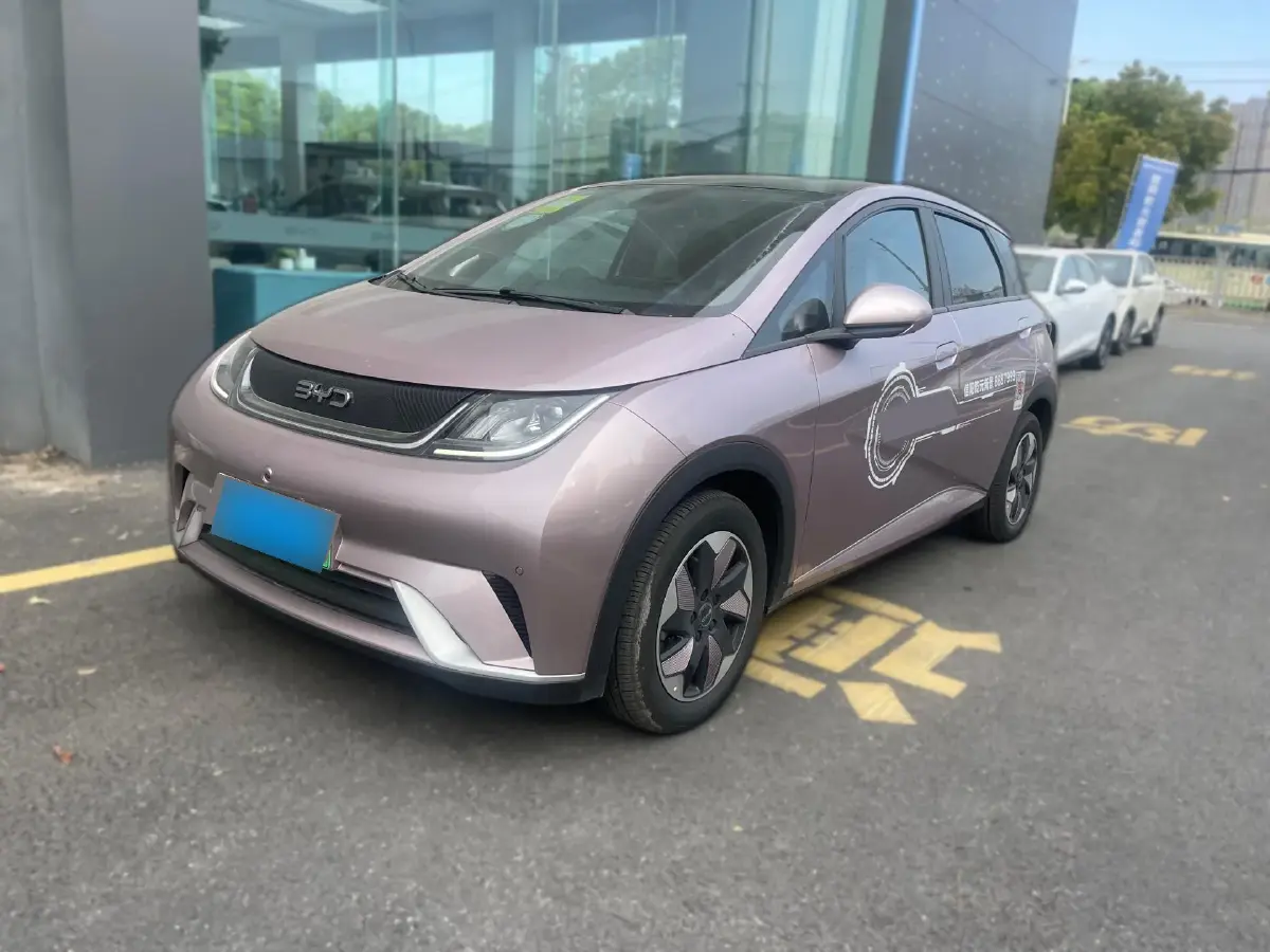 2024 BYD Dolphin BEV 44.928KWH