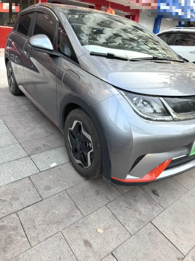 2021 BYD Dolphin BEV 44.9KWH